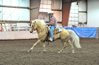 Amateur Working Ranch Horse