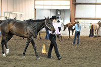 Youth 3 & Over Geldings