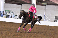 Novice Youth Ranch Reining