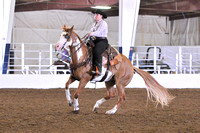 Youth Reining