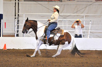 All Age Reining
